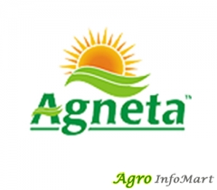 Agneta Agri India Private Limited amravati india