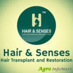 Hair Senses delhi india