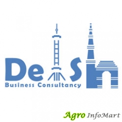 DelSh Business Consultancy Translation and Localization Company in Gurgaon gurugram india