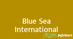 Blue Sea International delhi india