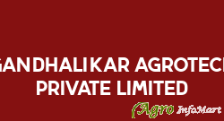 Gandhalikar Agrotech Private Limited dhule india