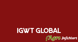 IGWT GLOBAL chandigarh india