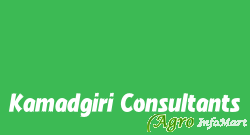 Kamadgiri Consultants noida india