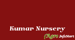 Kumar Nursery