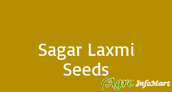 Sagar Laxmi Seeds ahmedabad india