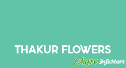 Thakur Flowers