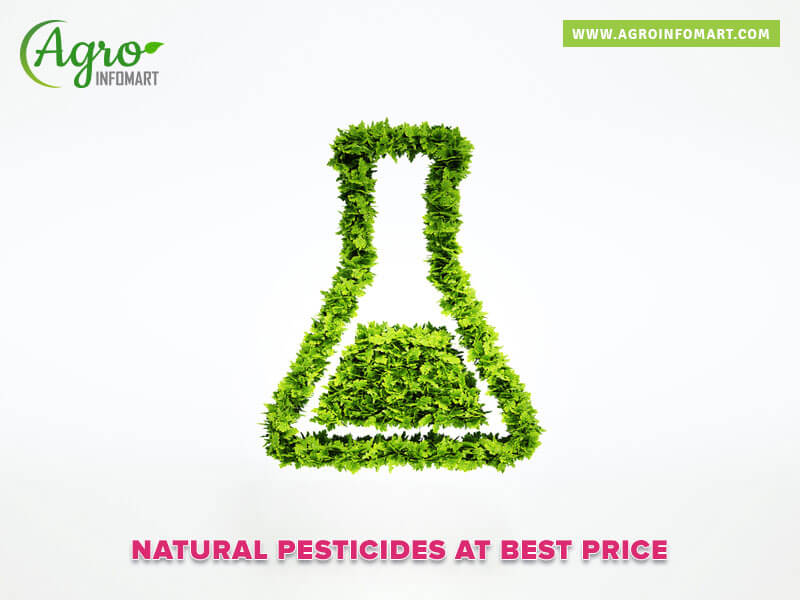 natural pesticides Wholesale