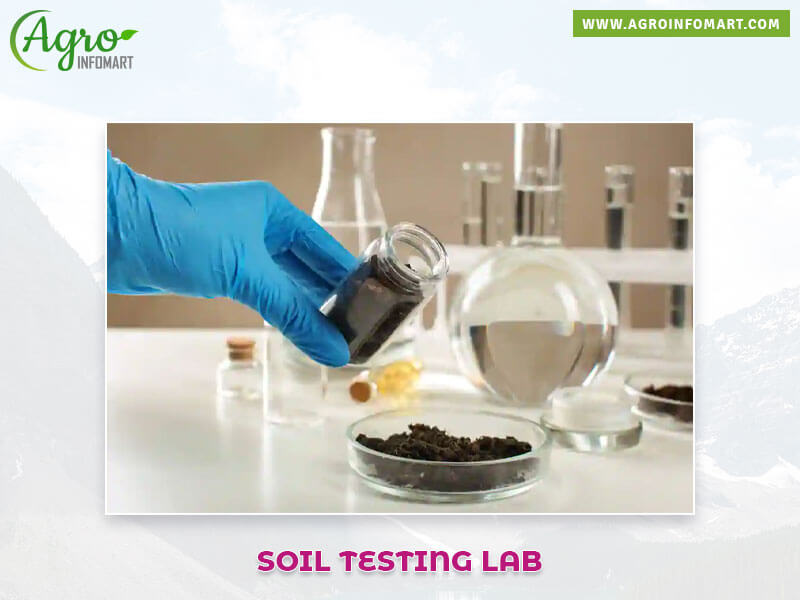 soil testing lab Wholesale