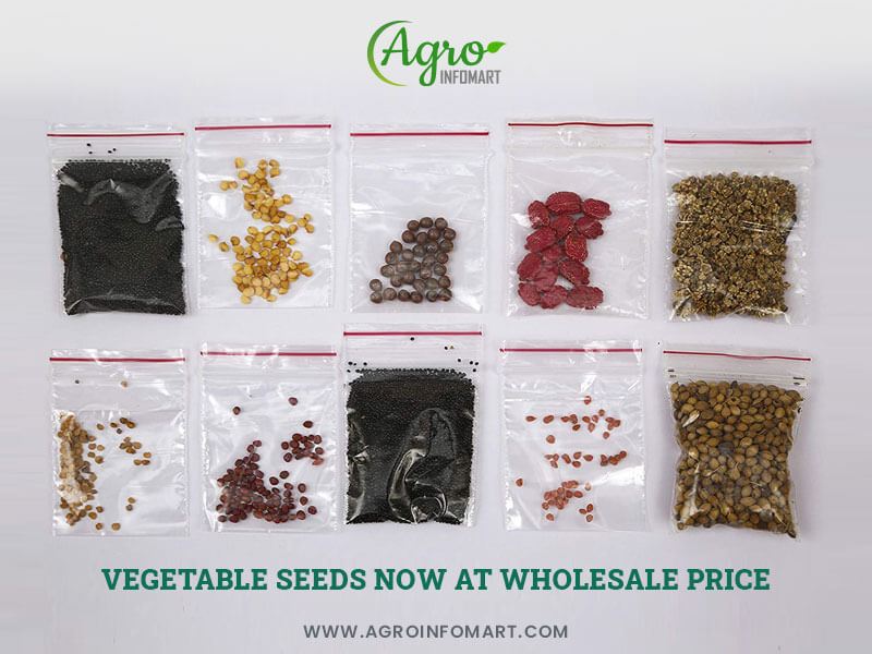 vegetable seeds Wholesale