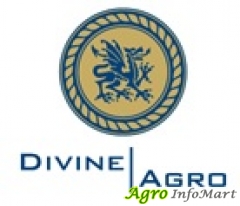 Divine Agro Overseas Inc delhi india