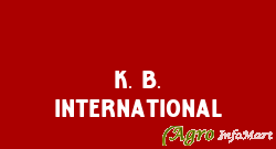 K. B. International In Delhi | Agriculture Pump Supplier