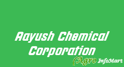 Aayush Chemical Corporation