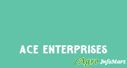 ACE Enterprises