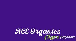 ACE Organics mumbai india