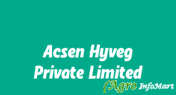 Acsen Hyveg Private Limited