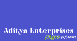 Aditya Enterprises delhi india