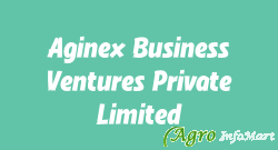 Aginex Business Ventures Private Limited