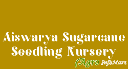Aiswarya Sugarcane Seedling Nursery