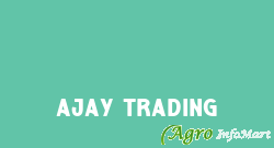 Ajay Trading delhi india