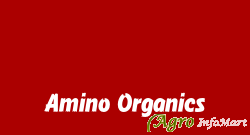 Amino Organics hyderabad india