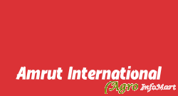 Amrut International