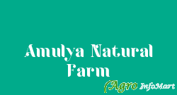 Amulya Natural Farm