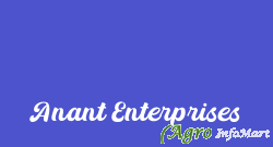 Anant Enterprises lucknow india