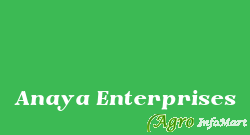 Anaya Enterprises