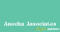 Anecha Associates pune india