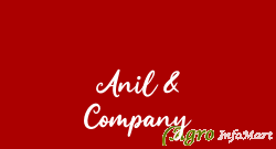 Anil & Company