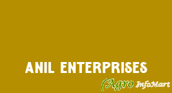Anil Enterprises delhi india