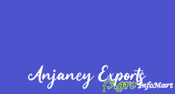 Anjaney Exports rajkot india