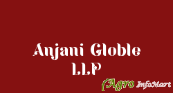 Anjani Globle LLP