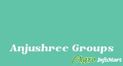 Anjushree Groups indore india