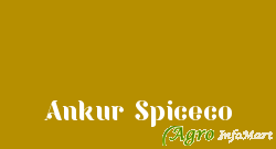 Ankur Spiceco