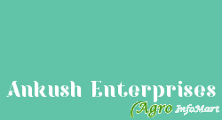 Ankush Enterprises