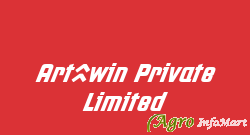 Art2win Private Limited delhi india