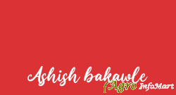 Ashish bakawle
