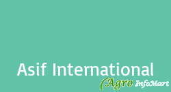 Asif International delhi india