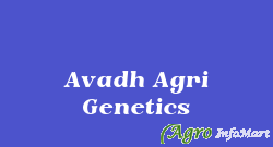 Avadh Agri Genetics