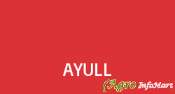 AYULL bangalore india