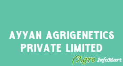 AYYAN AGRIGENETICS PRIVATE LIMITED