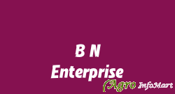 B N Enterprise