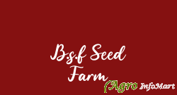 B.s.f Seed Farm