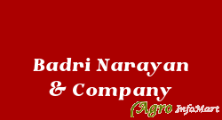 Badri Narayan & Company jodhpur india