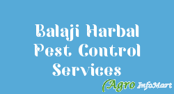 Balaji Harbal Pest Control Services pune india