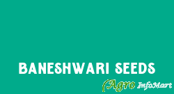 Baneshwari Seeds