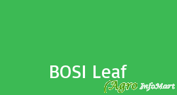 BOSI Leaf bangalore india