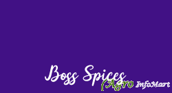 Boss Spices