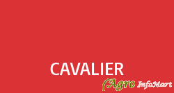 CAVALIER